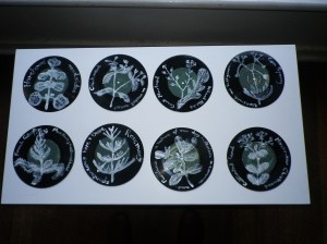 RADOK IMMIGRANT SONGS IMGP1462